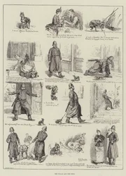 Die Polizei und die Hunde